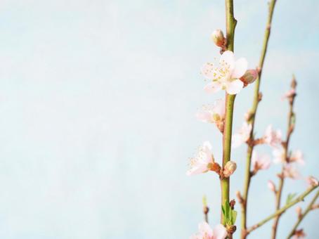 五臓六腑には色がある（5）